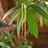 Baltic Amber Necklaces, 12-13" long, Ombre Graduated, Pebble