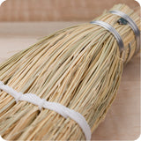 Child's Whisk Broom (short hand broom)