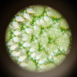 Rainbow Kaleidoscope Lens