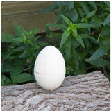 Hollow Wooden Egg - 2 3/4" Tall
