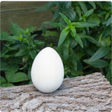 Linden Wood Flat Bottom Egg - 2 3/4" Tall