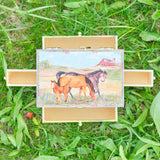 Horse Ranch Music Box - Trinket Box