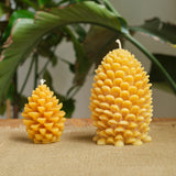 Pinecone Beeswax Candle