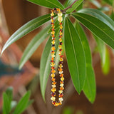 Baltic Amber Necklaces, 12-13" long, Multi-Color, Pebble