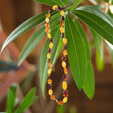 Baltic Amber Necklace, 12-13" long, Multi-color, Oval