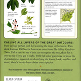 Sibley Tree Identification Flashcards