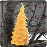 Evergreen Beeswax Candle
