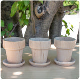 Mini Wooden Flower Pots - Set of 3