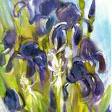 Iris Faeries Card with Envelope by Sigrid Mahncke, 4-1/8 x 5-7/8