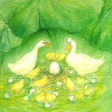 The Largest Egg - Ducks and Ducklings Postcard - 4.2" x 5.9"