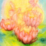 Nymphaea, Postcard - 4-1/4" x 6"