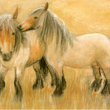 Belgian Horses - Postcard by M. v. Zeyl (4.21 x 5.91")