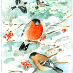 Snow Birds Postcard