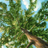 Strength Postcard by Eva-Marie Roith - 4-1/8" x 5-13/16"