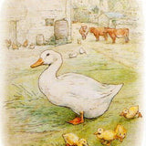 White Duck with Ducklings by Beatrix Potter, Postcard - 4 1/8" x 5 13/16"