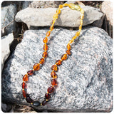 Baltic Amber Necklaces, 12-13" long, Ombre Graduated Pebble