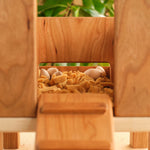 Wooden rabbit hutch front opening with eggs and straw bedding inside