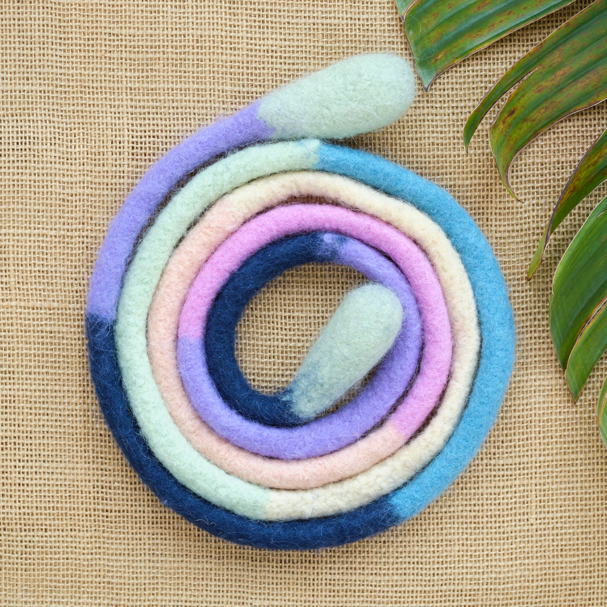 Multi-Colored Felted Jump Rope