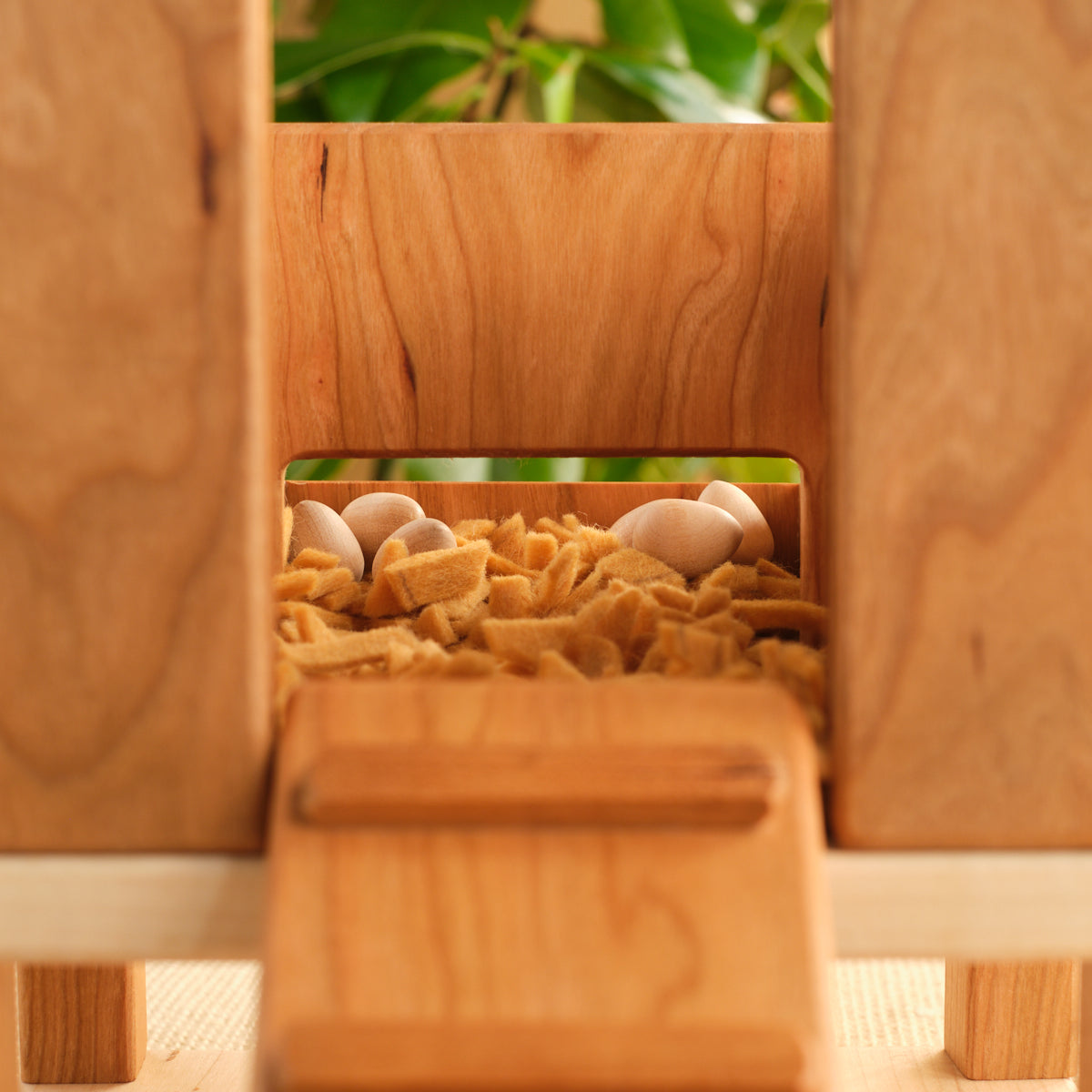 Wooden rabbit hutch front opening with eggs and straw bedding inside