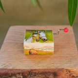 Mini Horse Music Box