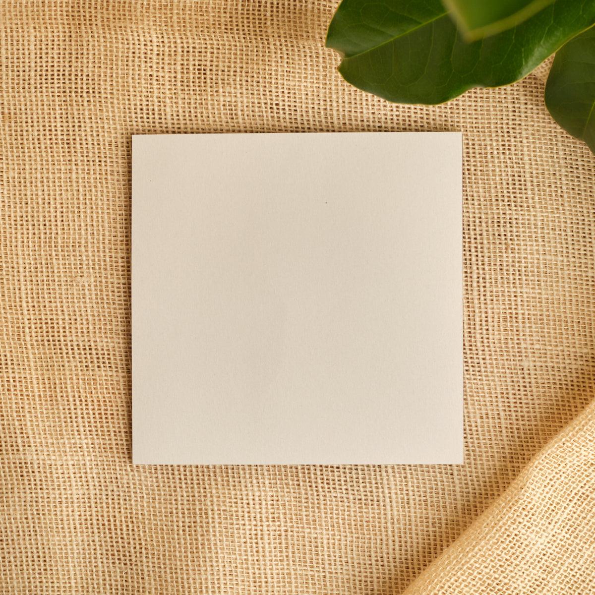 Single white kite paper square sheet on burlap with green leaves at top