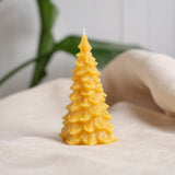 Evergreen Beeswax Candle