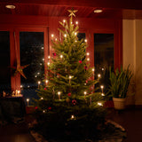 Christmas Tree Candle Holders for 1/2" Diameter Candles