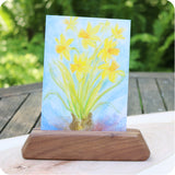 Spring Daffodils, Postcard - 4-5/8" x 6-13/16"