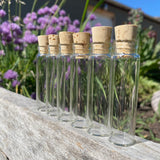 Glass Vials - Set of 6