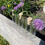 Glass Vials - Set of 6