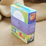 Hello Animals 4 Book Collection by Loes Botman - A Board Book Gift Collection