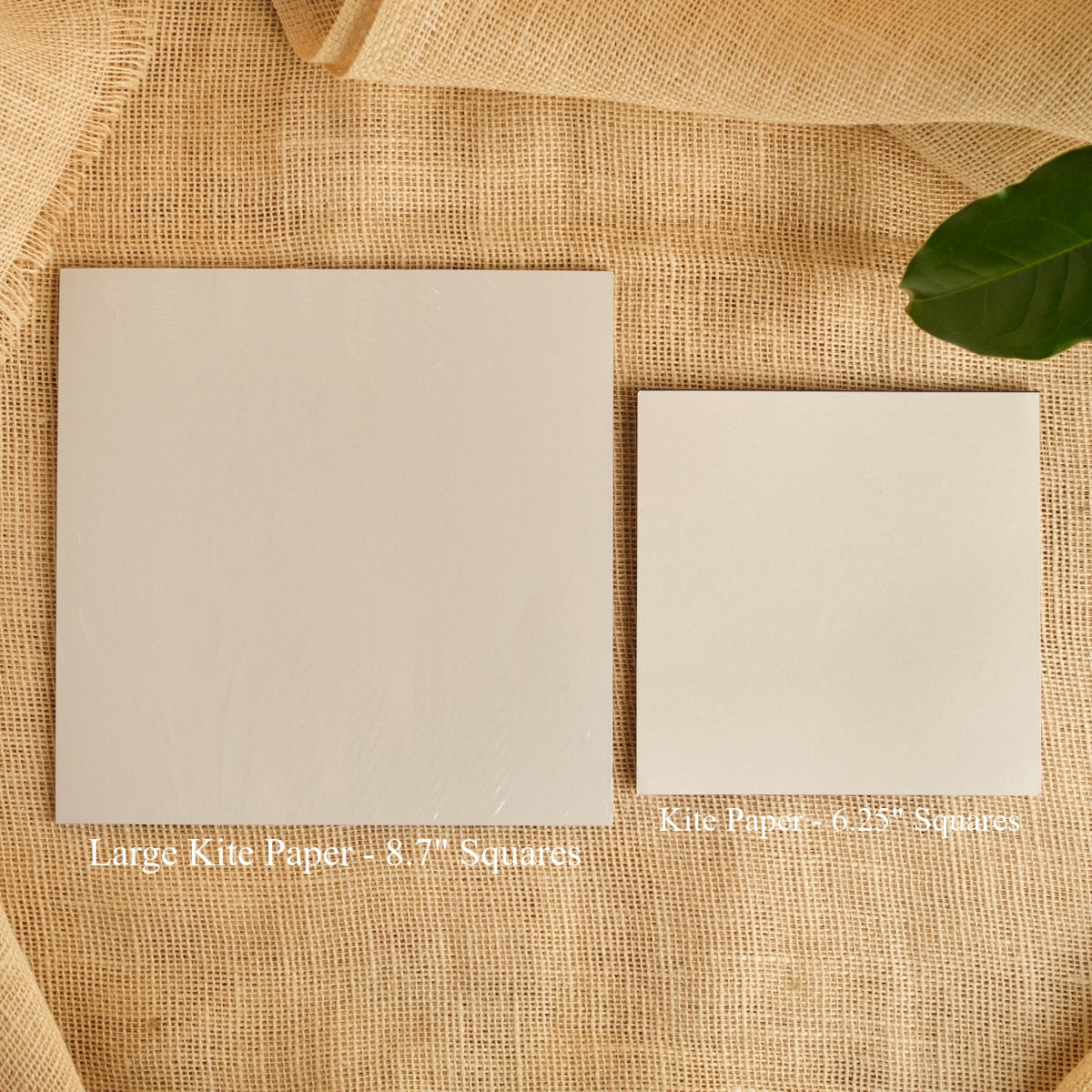 Kite paper 6.25" squares: two beige sheets on burlap with a green leaf