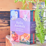 Hello Animals 4 Book Collection By Loes Botman - A Board Book Gift Collection