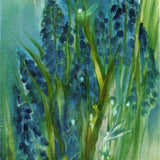 Grape Hyacinths Card and Envelope by Sigrid Mahncke, 4-1/8" x 5-7/8"