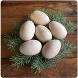 Good Wood Eggs