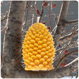 Large Pinecone Beeswax Candle