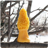 Morel Mushroom Beeswax Candle