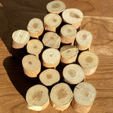 Stump Blocks - Set of 18