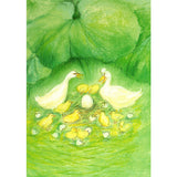 The Largest Egg - Ducks and Ducklings Postcard - 4.2" x 5.9"