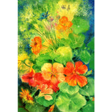 Nasturtium, Postcard - 4-5/8" x 6-13/16"