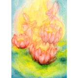 Nymphaea, Postcard - 4-1/4" x 6"