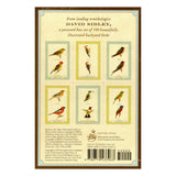 Sibley Backyard Birding Postcards 100 count