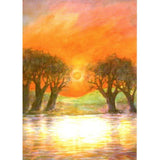 Sunset Between Trees Postcard - 4-1/8" x 5-13/16"