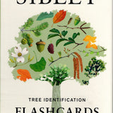 Sibley Tree Identification Flashcards