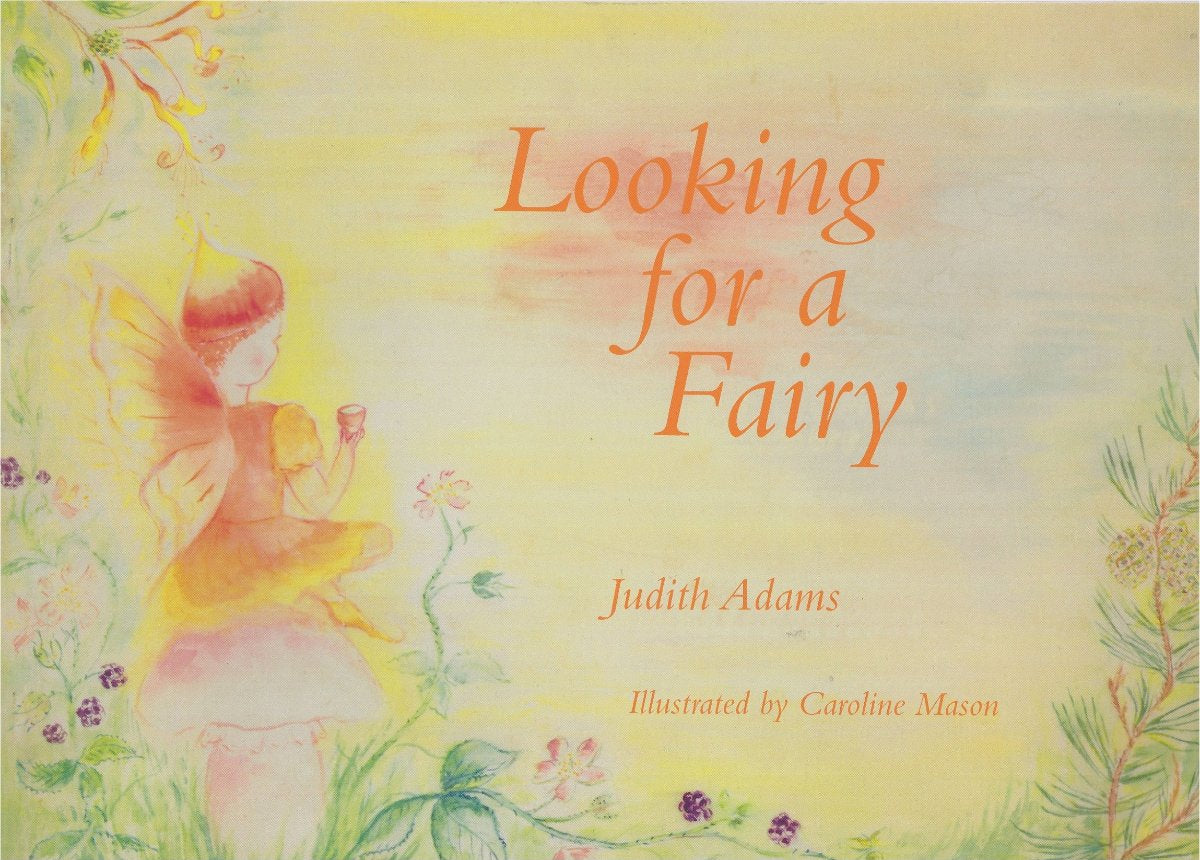 Looking For A Fairy By Judith Adams By Palumba offering reading, fairy stories, books, wooden toys, natural toys and wooden kitchens