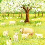 Lambs in the Orchard, Postcard - 4 1/8" x 5 13/16"