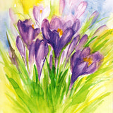 Purple Crocuses Postcard - 4.2" x 5.9"