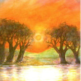Sunset Between Trees Postcard - 4-1/8" x 5-13/16"